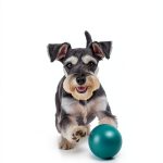Dog Breeds Kindle eBook Guide by Brand – Care Tips for Ages 10-18-0