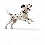 How to Train a City Dog Book 2 - Kindle eBook by Amazon-0
